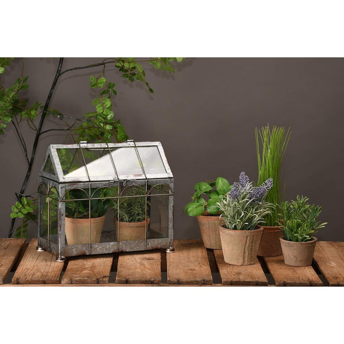 Esschert Design Small Indoor Plant Greenhouse with Lockable Lid - Home Deco London