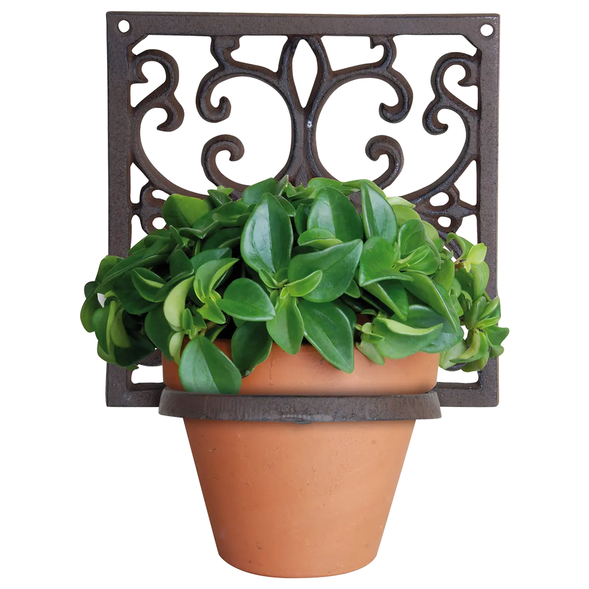 The Flowerpotholder classic 1 pot, featuring a stylish classic plant hanger design, ideal for one potted plant.