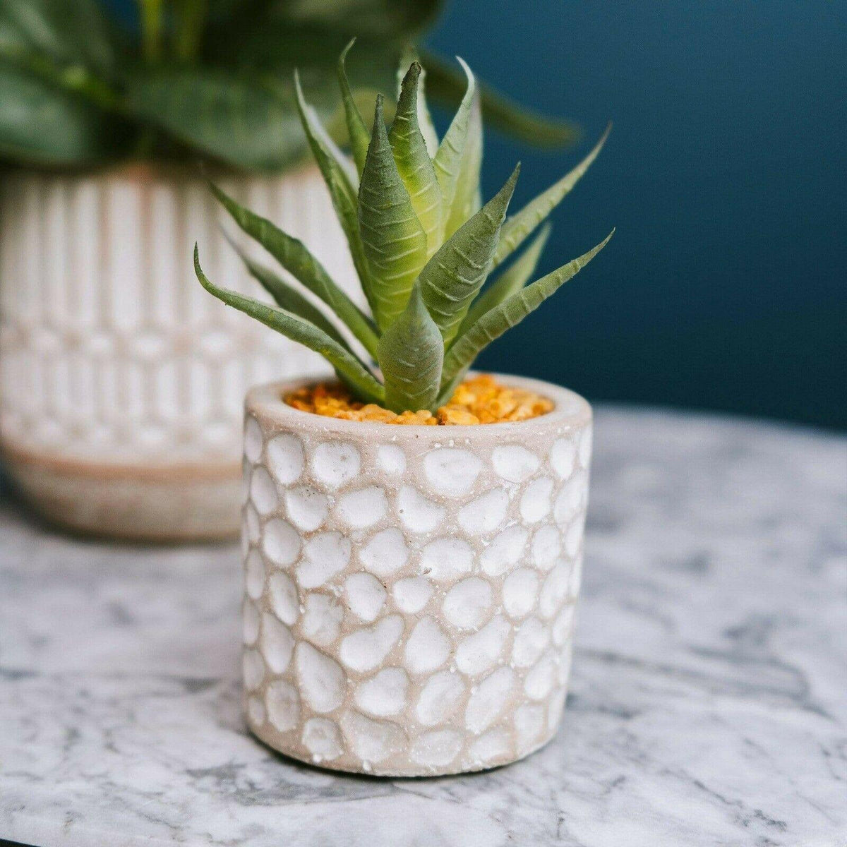 Artificial Aloe Vera Succulent in Grey Patterned Cement Pot - 11.5cm Home Decor - Home Deco London