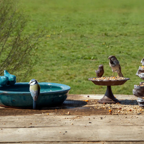 Bird Feeders & Bird Baths collection featuring elegant ceramic bird baths, perfect for attracting wild garden birds with decorative designs.