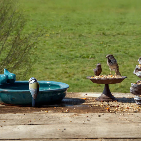 Bird Baths & Feeders