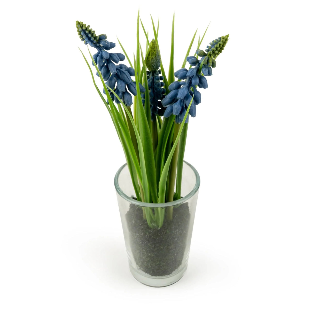 Blue Hyacinthus Artificial Flower in Clear Glass Vase 20cm