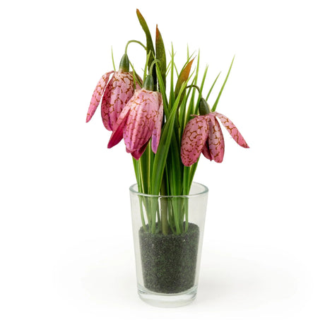 21cm Pink Fritillaria in Clear Glass Vase