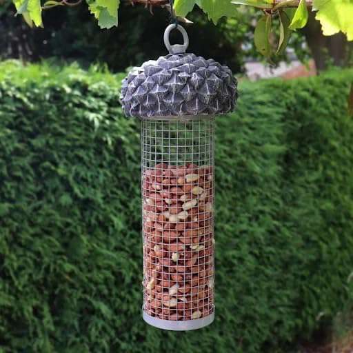 Garden view featuring multiple Acorn Bird Feeders, creating a lively atmosphere for wild birds.