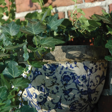 Aged Ceramic Wall Planter with 1.2L Capacity - Half Round Design for Easy Wall Mounting - Home Deco London