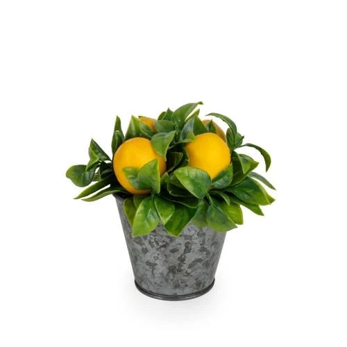 Decorative Lemons in a Tin