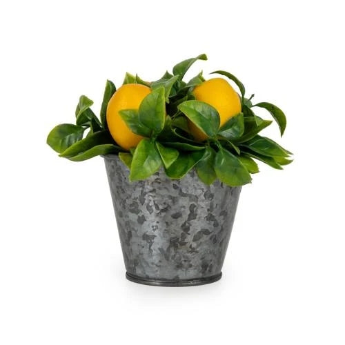 Decorative Lemons in a Tin