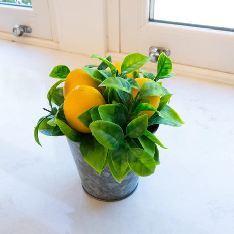 Decorative Lemons in a Tin