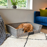 Extra Large Dog Basket With Padded Bed in Grey - Perfect for large dog basket lovers seeking style and comfort for their furry friends.