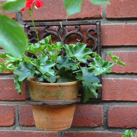 Classic Plant Hanger for 1 Pot - Authentic Design, Easy to Hang, W18.3 x D15.4 x H18.5 - Home Deco London