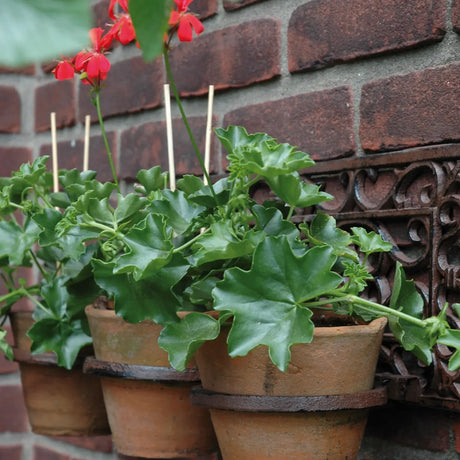 Elegant flowerpotholder classic 3 pots featuring an authentic design, perfect for any indoor or outdoor space as a hanging plant pot holder.
