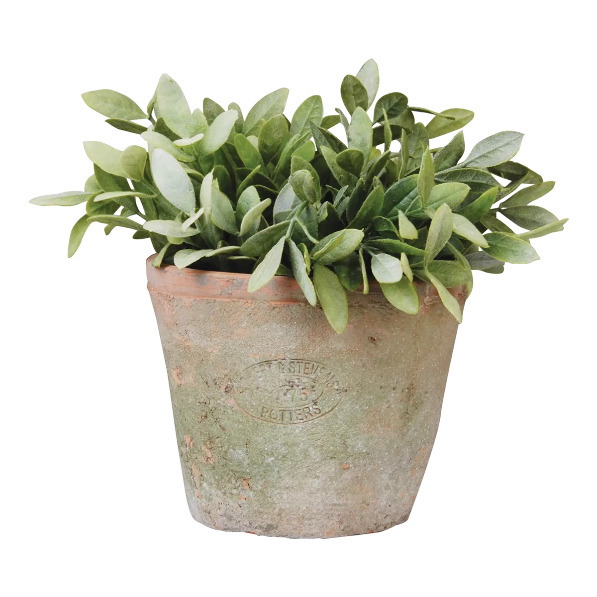 Handmade 16cm Aged Terracotta Flower Pot - Stylish Garden Planter by Esschert Design - Home Deco London