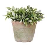 Handmade 16cm Aged Terracotta Flower Pot - Stylish Garden Planter by Esschert Design - Home Deco London