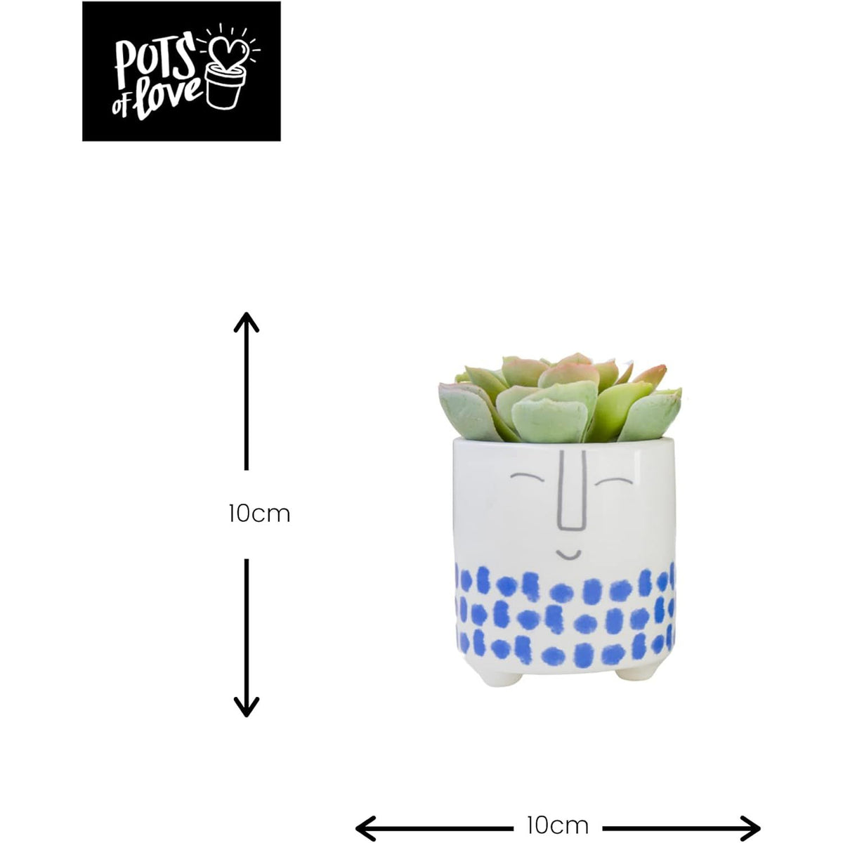 KitchenCraft Blue Spots Face Planter Indoor Ceramic - Home Deco London
