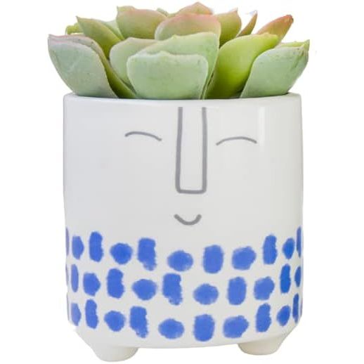 KitchenCraft Blue Spots Face Planter Indoor Ceramic - Home Deco London