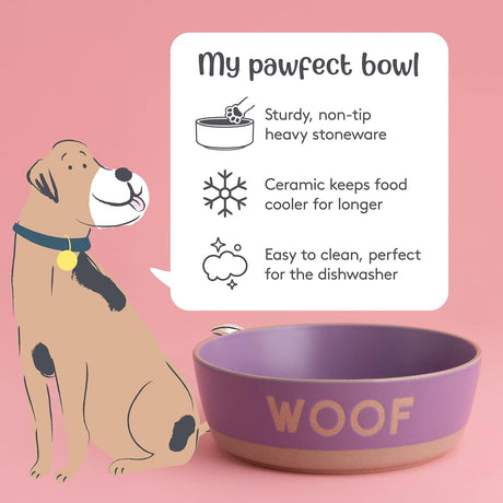 Mason Cash 1.3L Stoneware Dog Bowl - 20cm Angled Design with Stylish Wax Resist Finish - Home Deco London