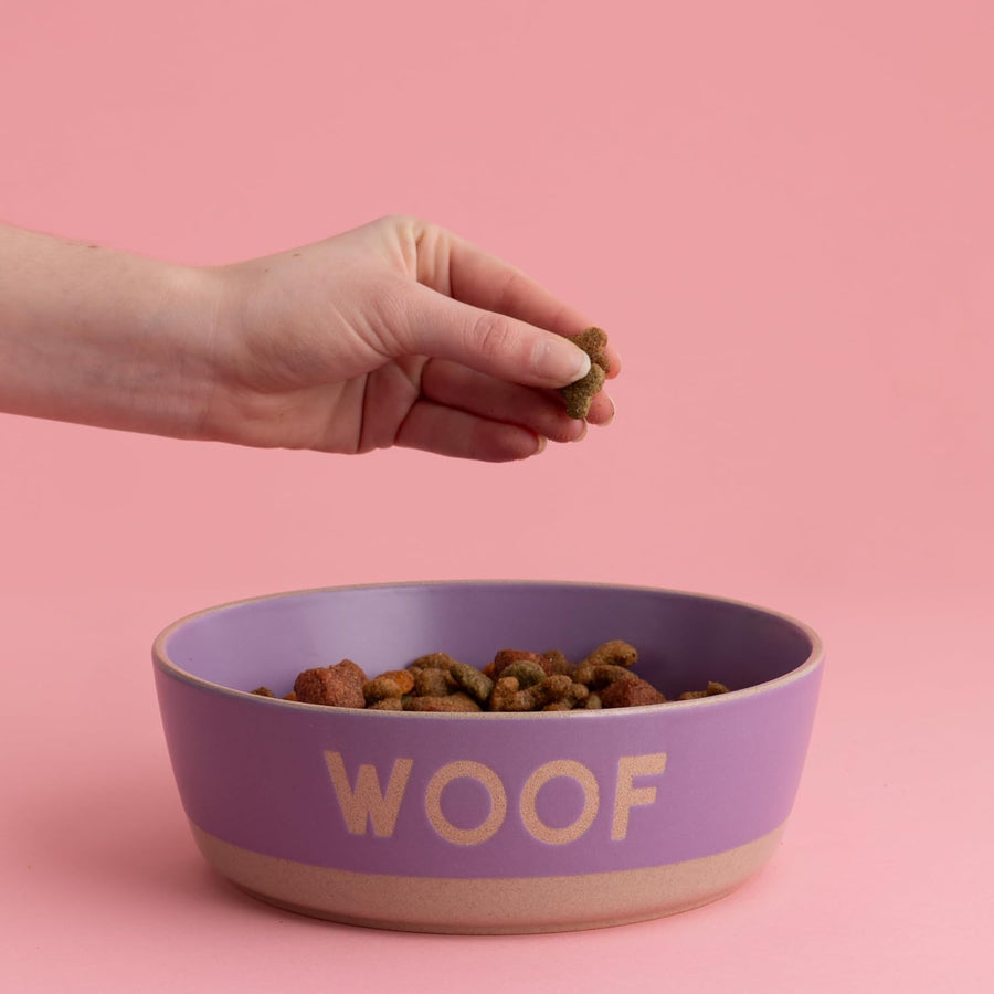 Mason Cash 1.3L Stoneware Dog Bowl - 20cm Angled Design with Stylish Wax Resist Finish - Home Deco London