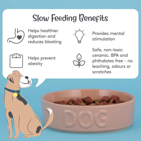 Mason Cash Cane Stoneware Slow Feeder Dog Bowl - Home Deco London