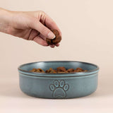 Mason Cash Reactive Paw Large Dog Bowl in a kitchen setting, highlighting its elegant design as a stylish stoneware pet bowl.