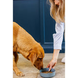 Mason Cash Reactive Paw Large Dog Bowl in a pet feeding area, showcasing its charming design and functionality as a stylish stoneware pet bowl.