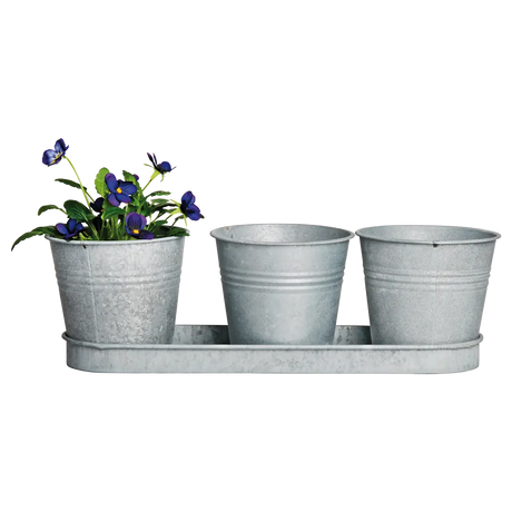 Old zinc 3 pots on a tray, perfect herb pots on tray for your garden or windowsill.