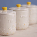 Price & Kensington Daisy Coffee Storage Jar in a kitchen setting, highlighting its use as an elegant airtight coffee storage jar.