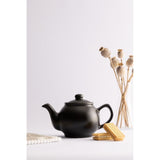 Price & Kensington Matt Black Teapot 2 Cup - Home Deco London
