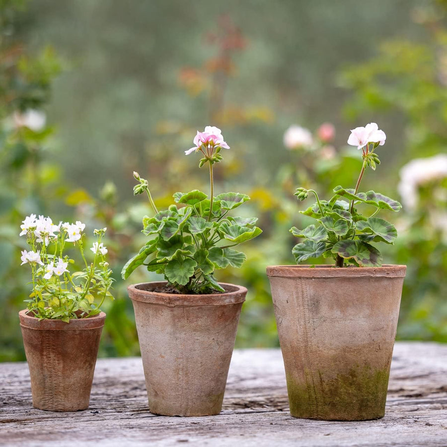 Set of 3 Aged Terracotta Pots with Drainage Holes – Vintage Handmade Design for Garden Decor - Home Deco London