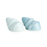 Reactive Glaze Shell Salt & Pepper Pots