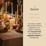 Spaas White 14 Tapered Dinner Candles 21/220 mm ± 8 Hours