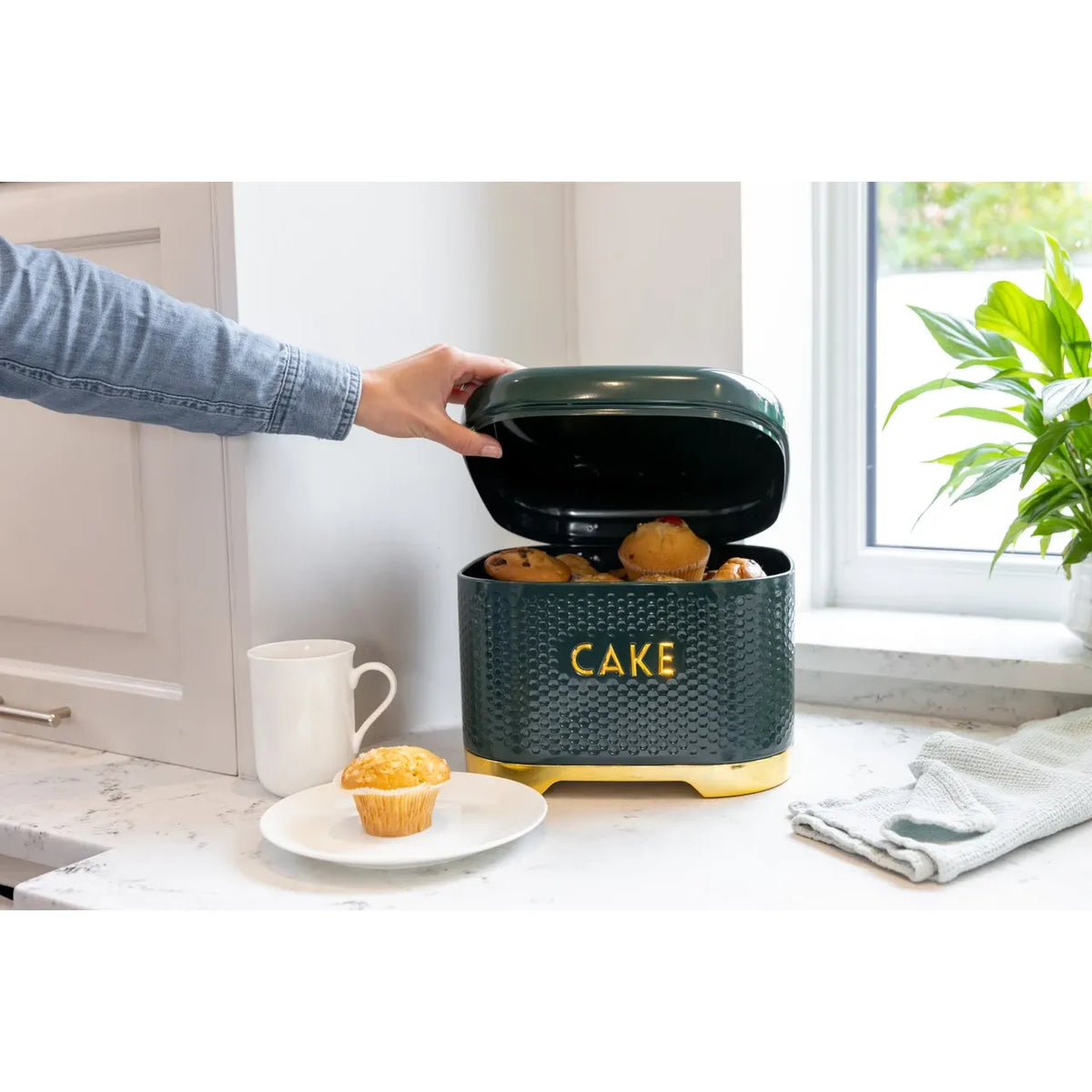 Lovello Cake Storage Tin with Lid, Hunter Green & Gold,