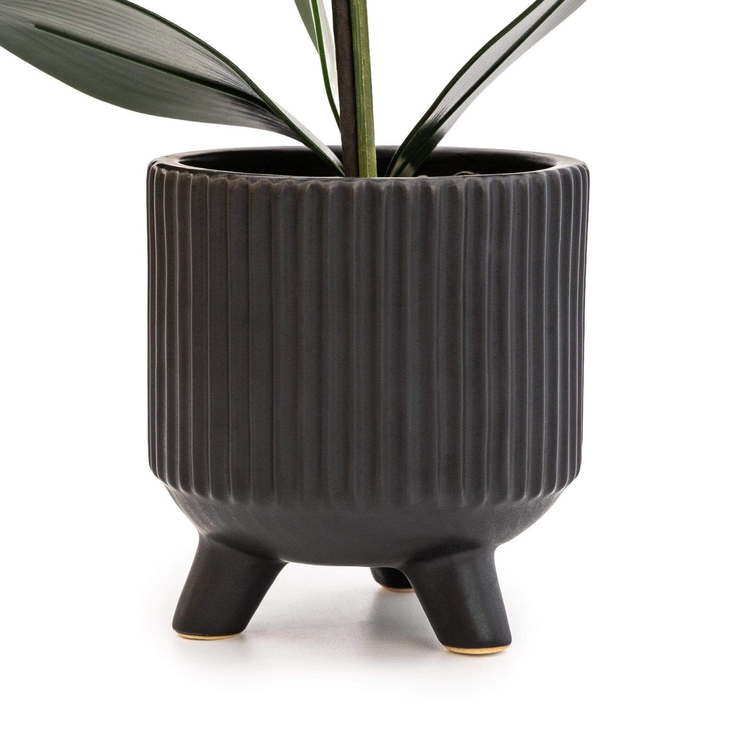 Sophisticated Matte Black Lifelike Orchid in Ceramic Footed Pot