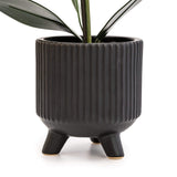 Sophisticated Matte Black Lifelike Orchid in Ceramic Footed Pot