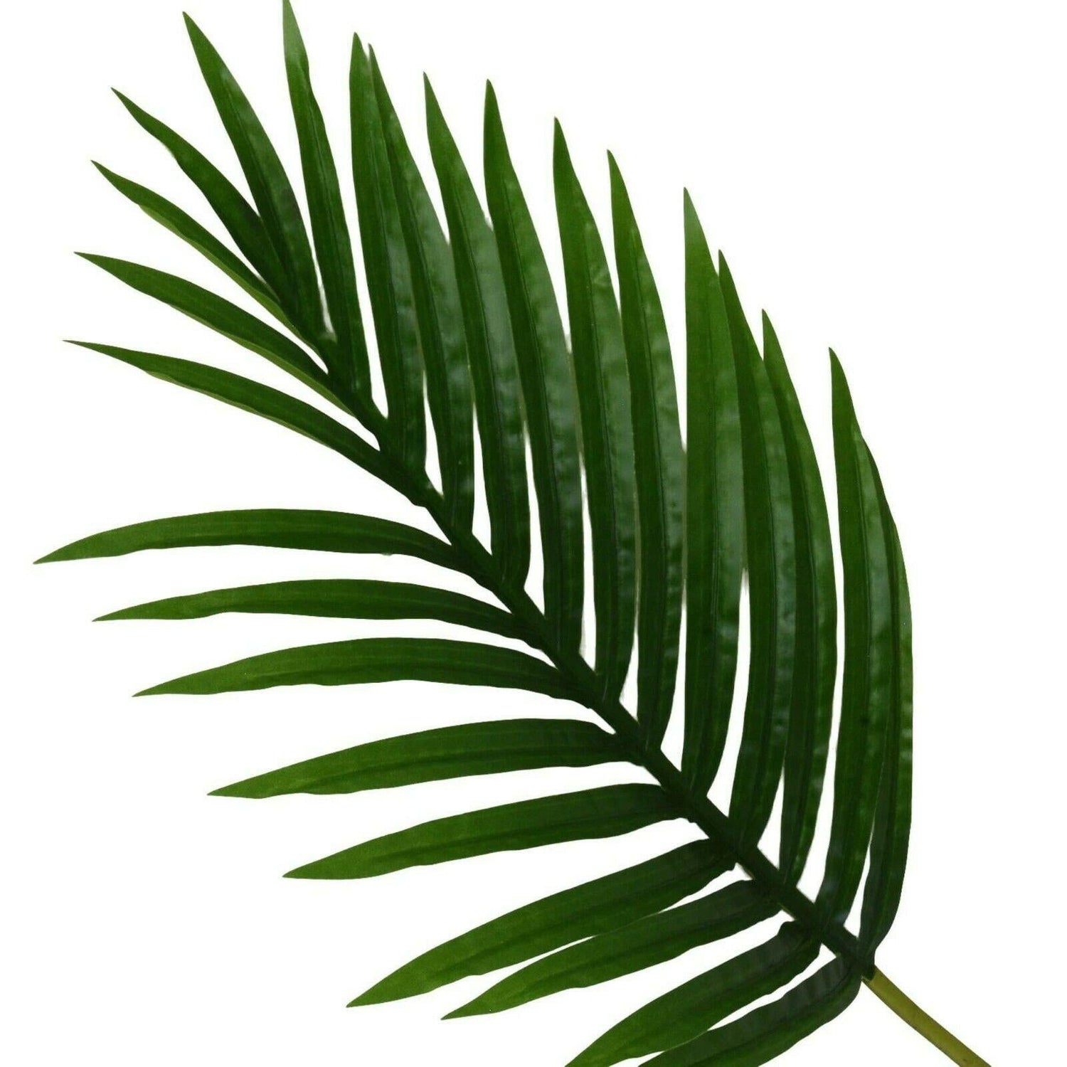65Cm Faux Palm Leaf Single Stem - Striking Artificial Greenery For Stylish Interiors - Home Deco London