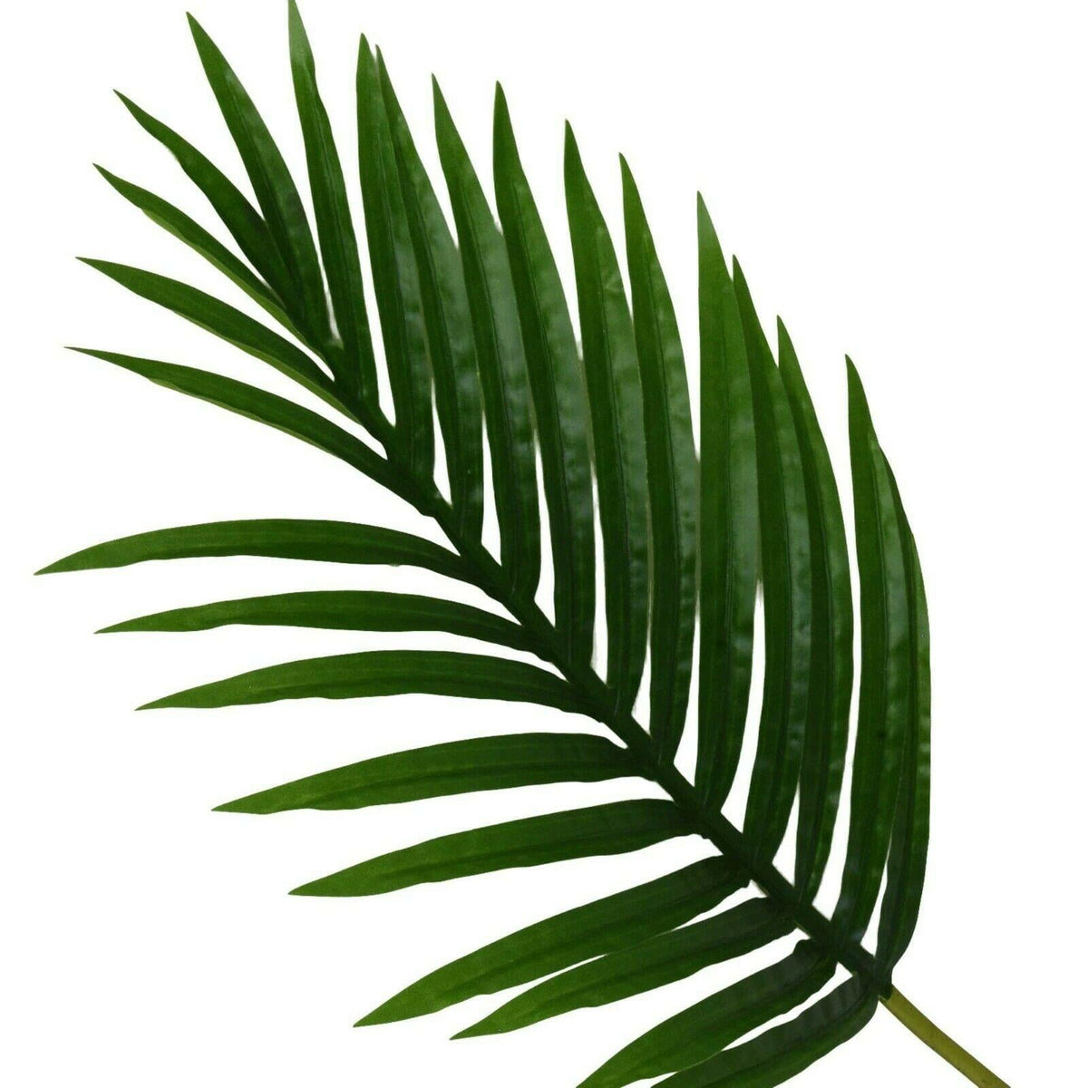 65Cm Faux Palm Leaf Single Stem - Striking Artificial Greenery For Stylish Interiors - Home Deco London