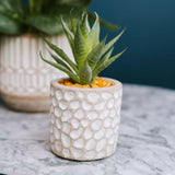 Artificial Aloe Vera Succulent in Grey Patterned Cement Pot - 11.5cm Home Decor - Home Deco London