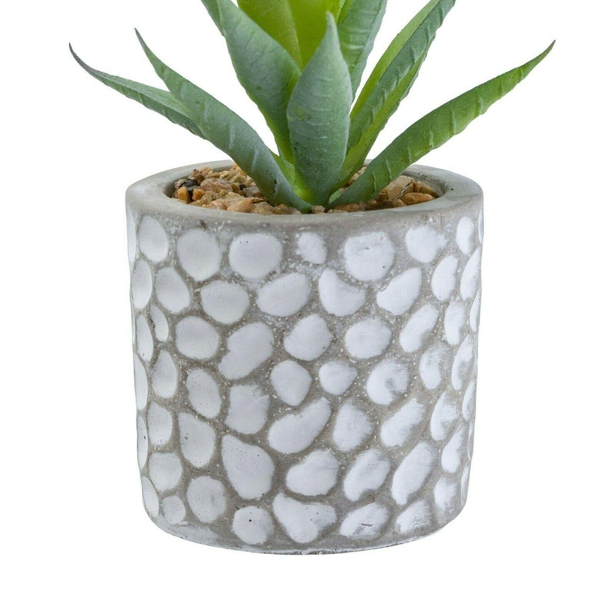 Artificial Aloe Vera Succulent in Grey Patterned Cement Pot - 11.5cm Home Decor - Home Deco London