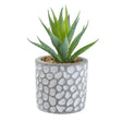 Artificial Aloe Vera Succulent in Grey Patterned Cement Pot - 11.5cm Home Decor - Home Deco London