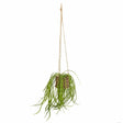 Spider Plant in Rattan Basket With Rope Hanger - Perfect artificial plants in rattan basket for adding greenery to any space.