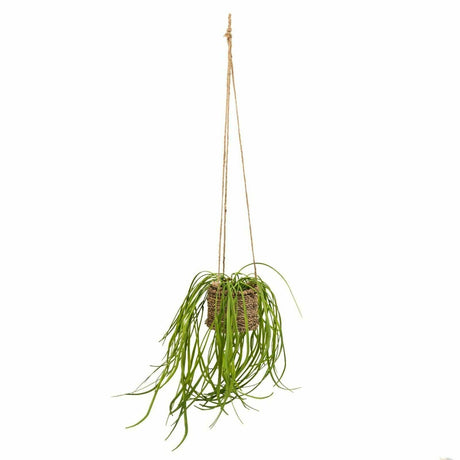 Artificial Plants in Rattan Basket With Rope Hanger - Stylish Spider Plant for Home Decor - Home Deco London