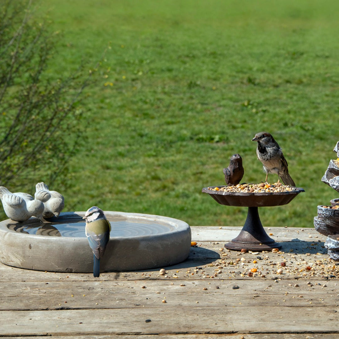 Cement Bird Bath with Charming Sitting Bird - Ideal for Garden Birds, 29.3cm Diameter - Home Deco London