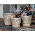 Dusty Green Ceramic Plant Pot with Elegant Flowerpot Fan Pattern by Chic Antique - Home Deco London