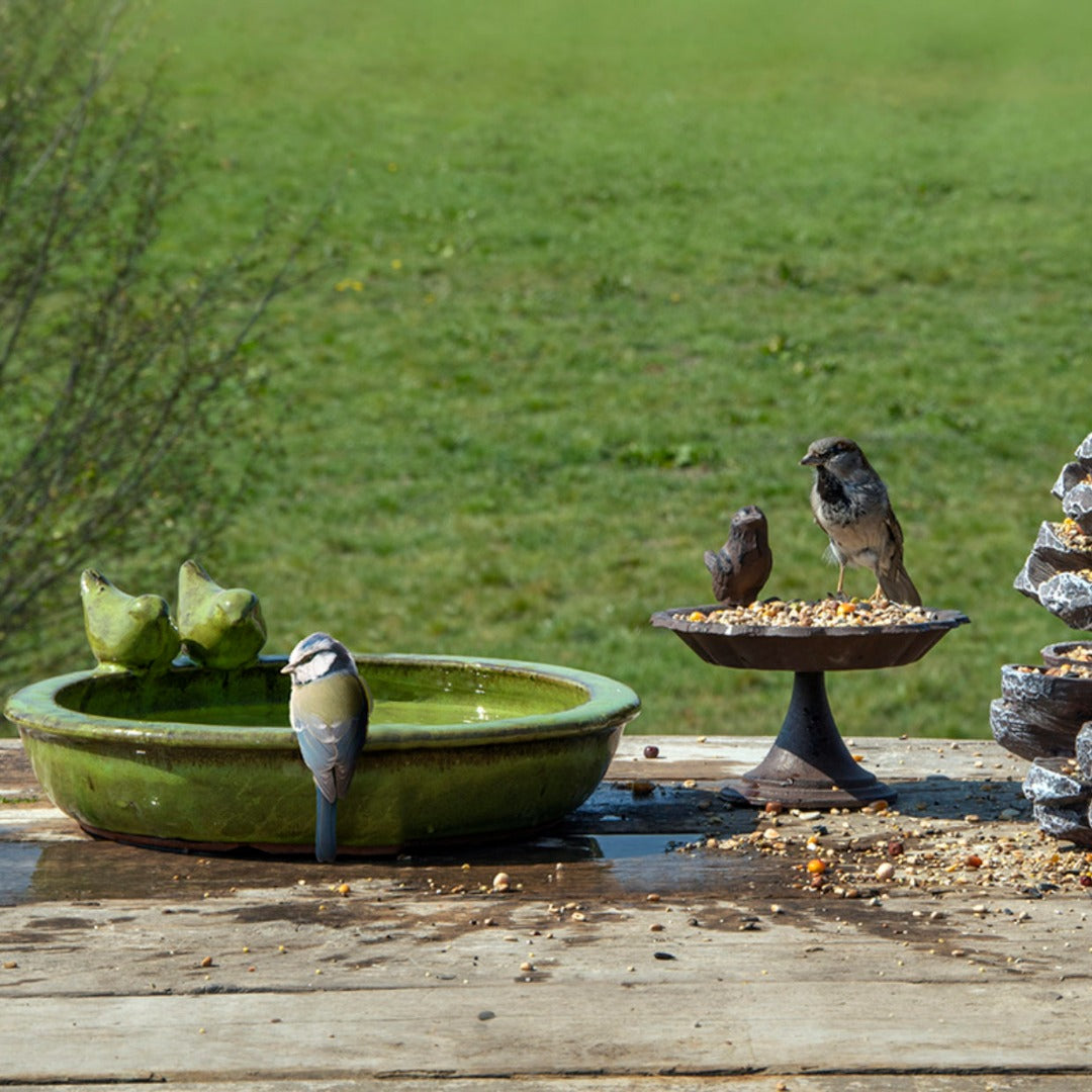 Esschert Design Green Bird Bath - Round Ceramic for Drinking and Bathing, 30.7cm x 32.9cm x 10.9cm - Home Deco London