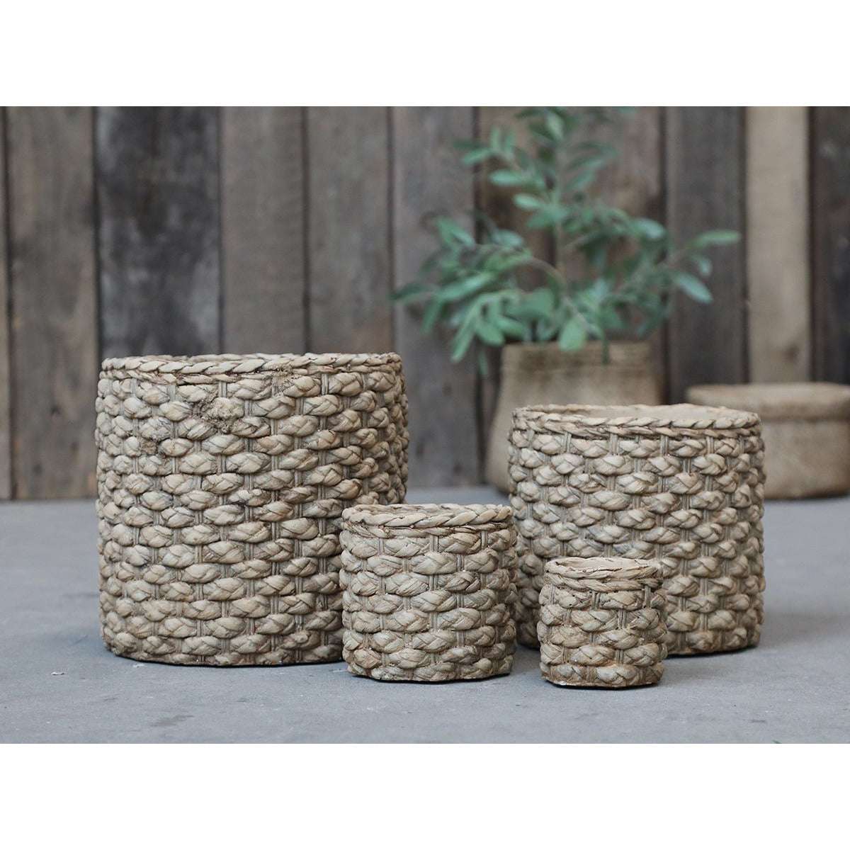 Medium Braided Pattern Flowerpot - Antique Nature Cement, Waterproof, H17/D18.5 cm - Home Deco London
