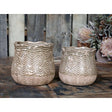 Rounded Flowerpot Small in Dusty Green with Fan Pattern - Chic Antique Ceramic Decor - Home Deco London