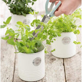 Typhoon Living Tea Coffee and Sugar Storage Set of 3 Cream arranged neatly, highlighting their 1 litre capacity.